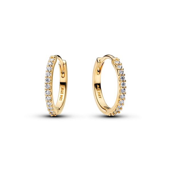 Gold-plated Hoop Earrings 
