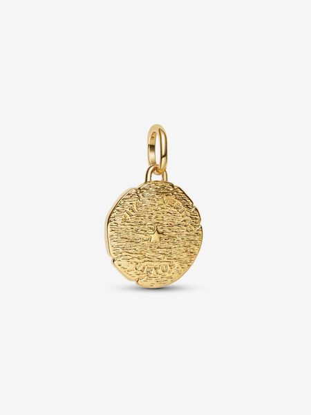 Lion medallion charm - gold plated