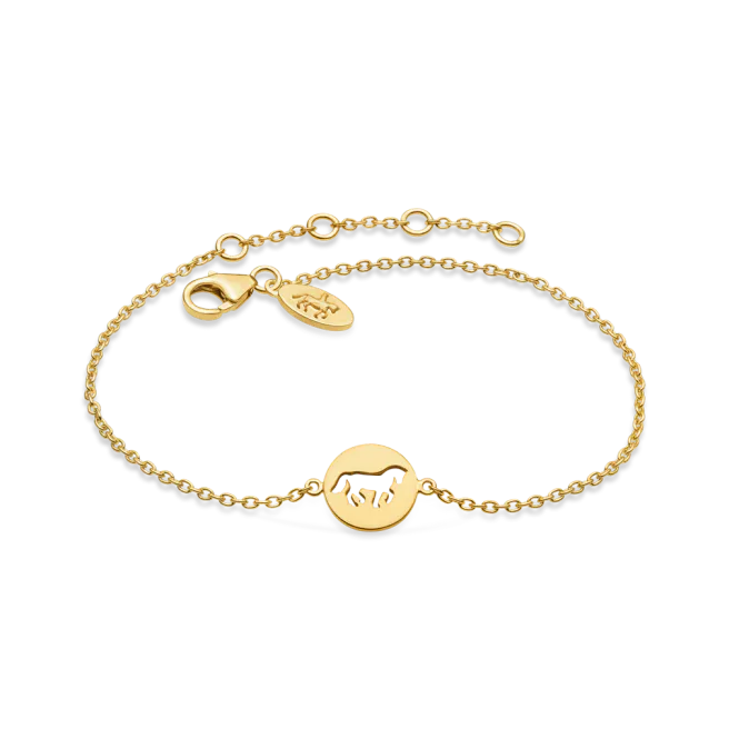 Hovedbilde Cassidy Bracelet Plated silver